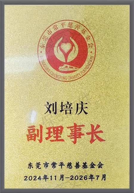 副理事长